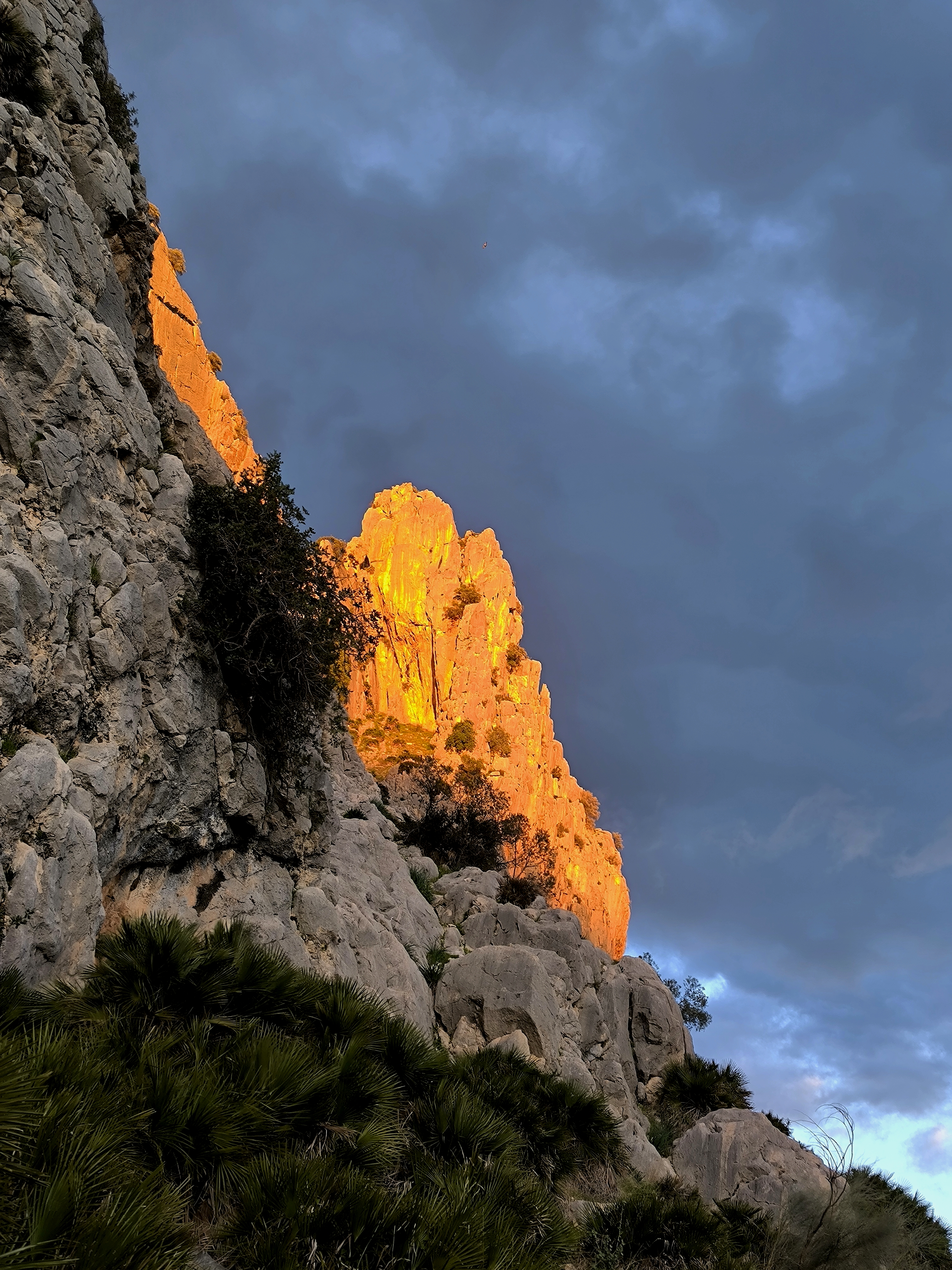 El Chorro 1